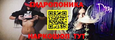 амф Анжеро-Судженск