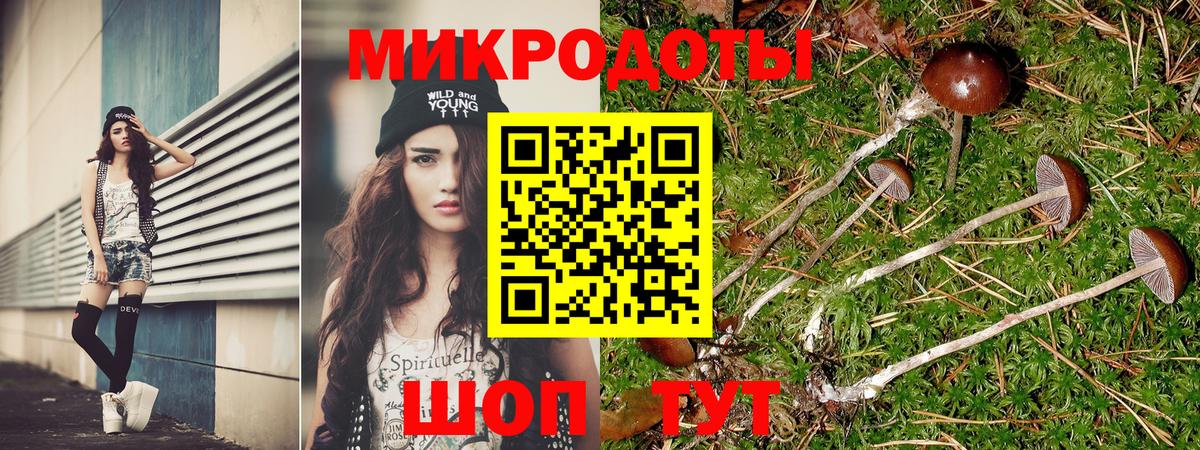 Лосино-Петровский  Псилоцибиновые грибы мицелий  Вход с VPN 