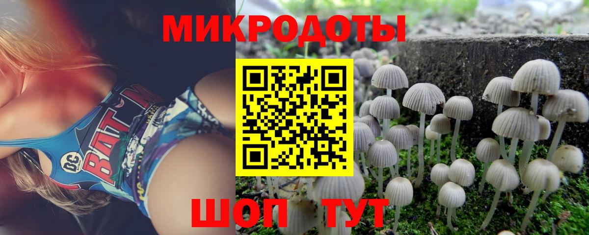 Галлюциногенные грибы Cubensis Лосино-Петровский