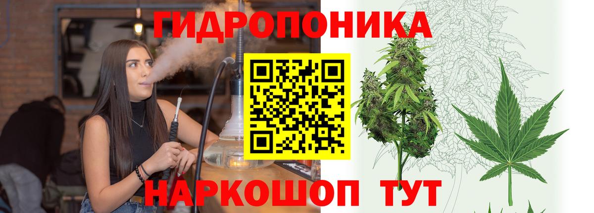 Бошки Шишки SATIVA & INDICA  Вход с VPN  Лосино-Петровский  Канабис тримм  Бошки марихуана White Widow 